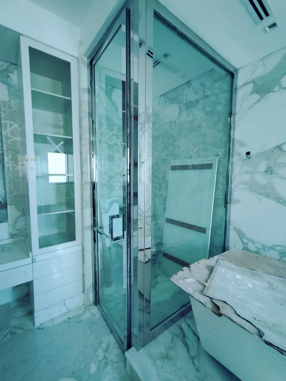 Shower Partition and Glass